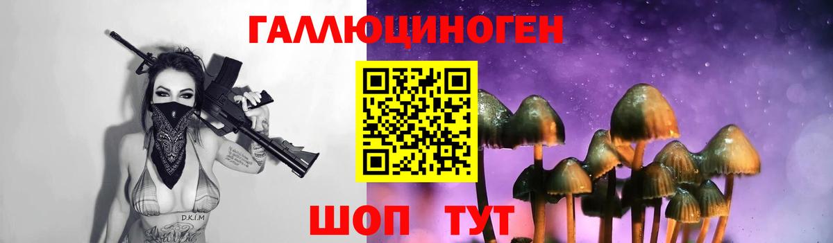 Галлюциногенные грибы MAGIC MUSHROOMS Вязники